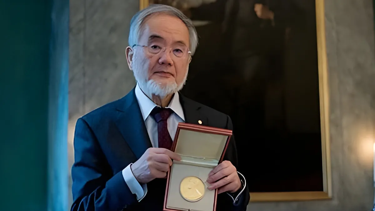 Featured image for How Fasting Helps Your Cells “Recycle” Themselves: The Nobel Prize Connection